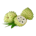 Custard apple