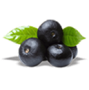 Black plum